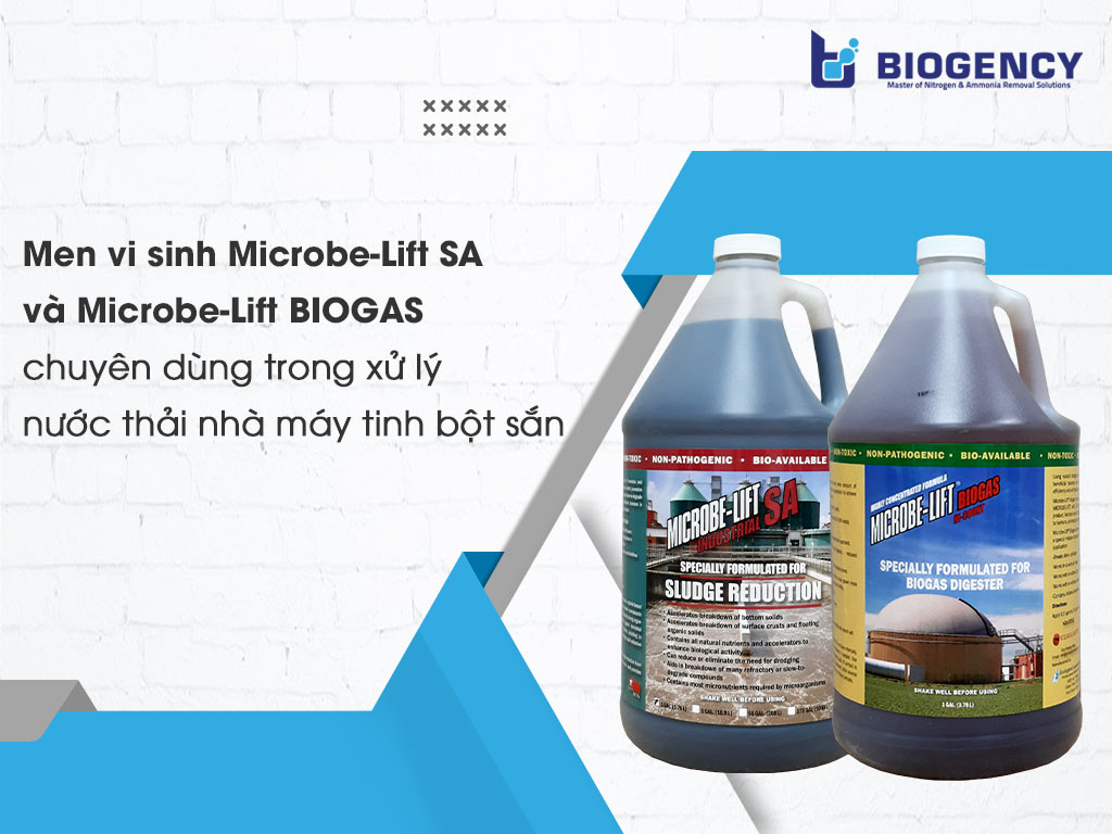 Men vi sinh Microbe-Lift SA và Microbe-Lift BIOGAS chuyên dùng trong xử lý nước thải nhà máy tinh bột sắn.