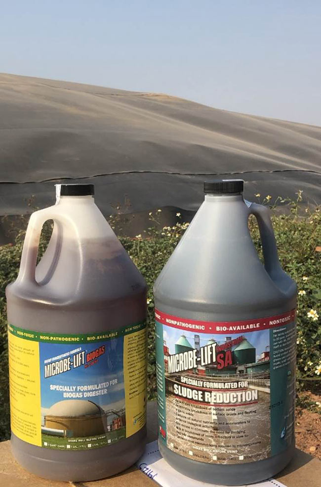 Men vi sinh Microbe-Lift BIOGAS và Microbe-Lift SA được dùng trong hầm Biogas để xử lý nước thải tinh bột khoai mì.