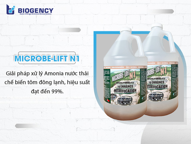 Men vi sinh Microbe-Lift N1 dùng trong xử lý Amonia nước thải chế biến tôm đông lạnh, hiệu suất đạt đến 99%.