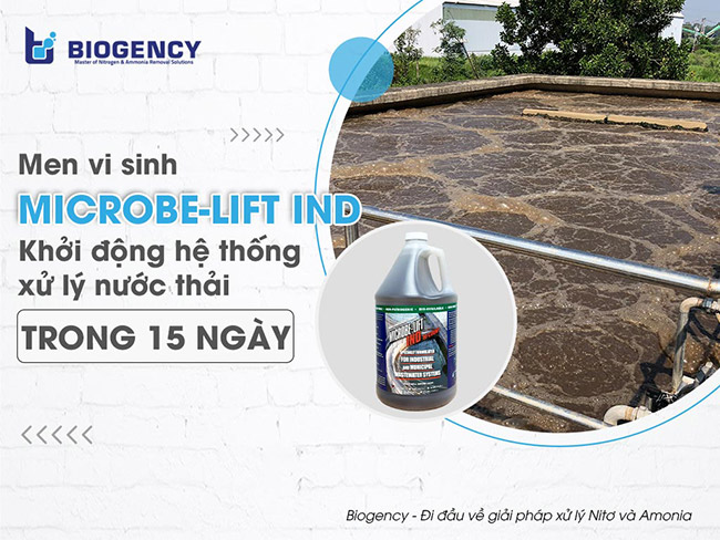 Men vi sinh Microbe-Lift IND.
