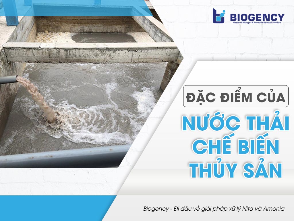 Đặc điểm của nước thải chế biến thủy sản