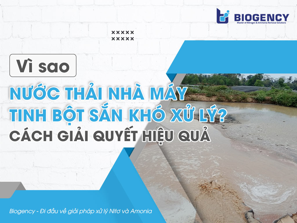Vì sao nước thải nhà máy tinh bột sắn khó xử lý? Cách giải quyết hiệu quả