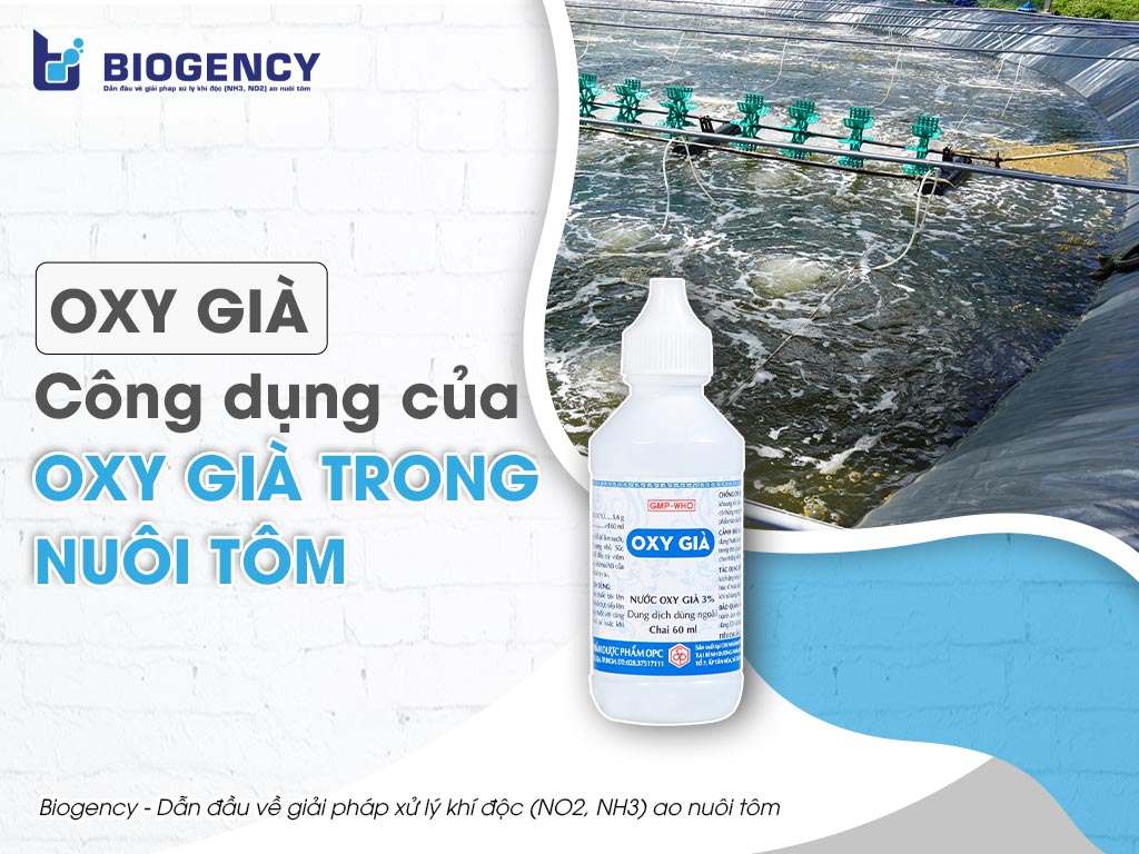 Oxy già & Công dụng của oxy già trong nuôi tôm