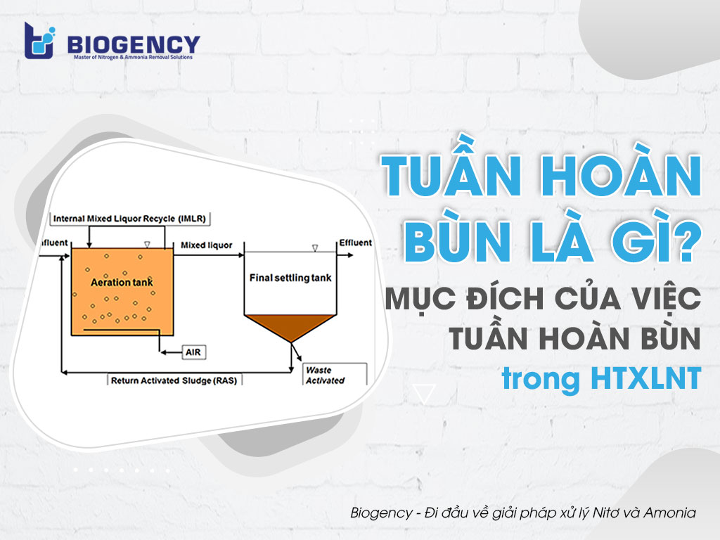Tuần hoàn bùn là gì? Mục đích của việc tuần hoàn bùn trong hệ thống xử lý nước thải