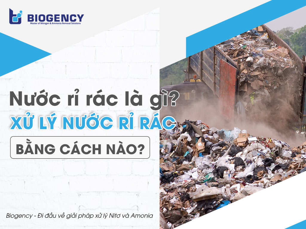 Nước rỉ rác là gì? Xử lý nước rỉ rác bằng cách nào?