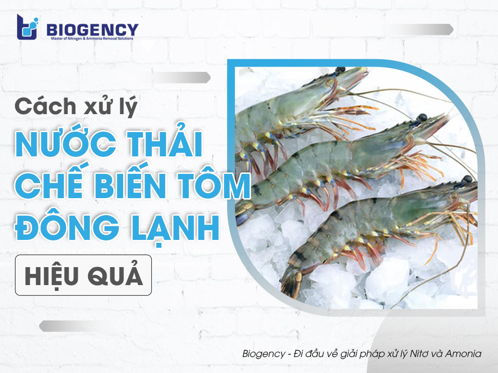 Cách xử lý nước thải chế biến tôm đông lạnh hiệu quả