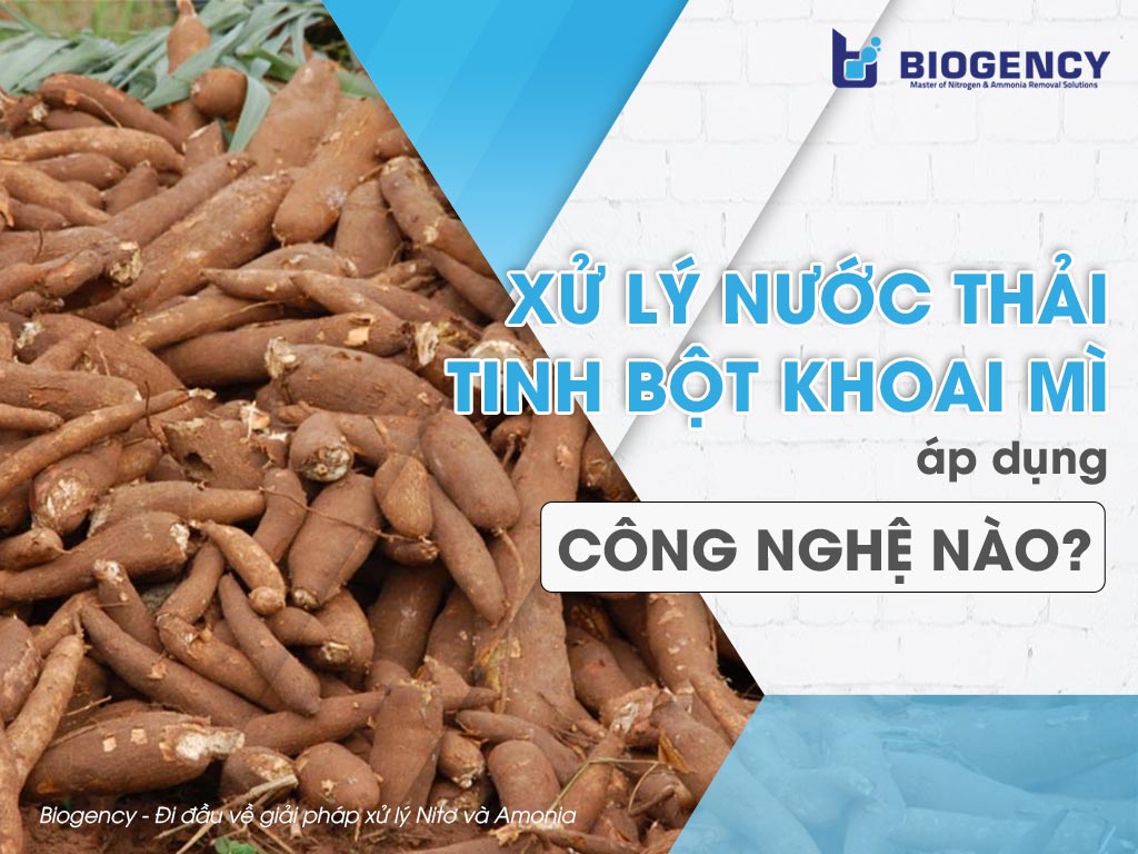 Xử lý nước thải tinh bột khoai mì, áp dụng công nghệ nào?
