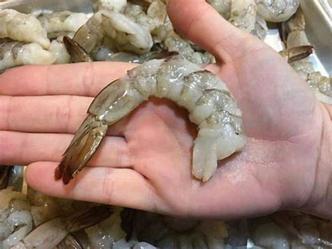 Khí độc trong ao nuôi tôm gây ra tình trạng tôm rớt cục thịt.
