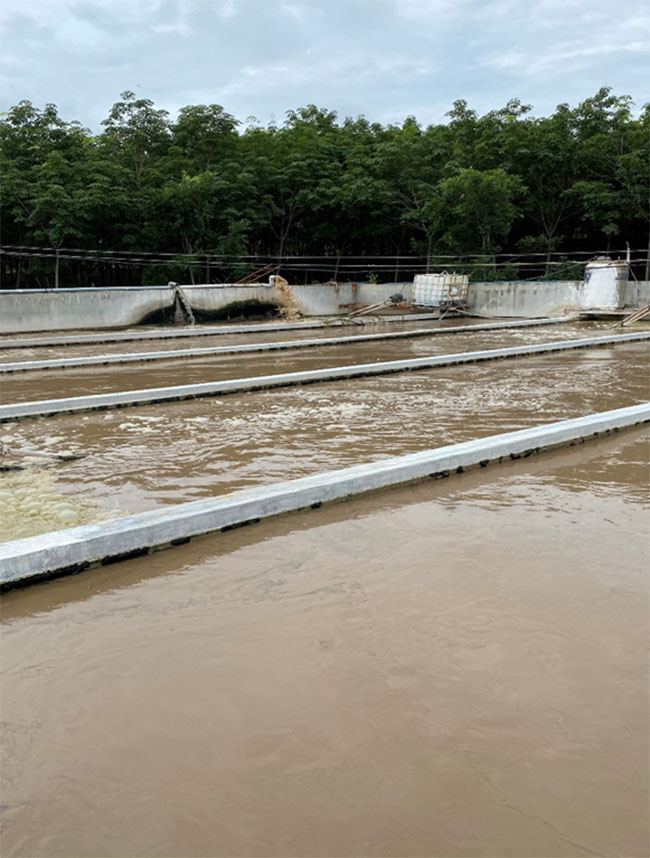 Bể sinh học Anoxic tại nhà máy cao su tại Bình Phước.