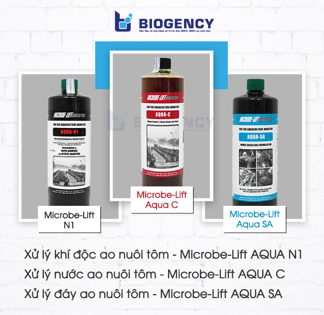 Men vi sinh Microbe-Lift được ứng dụng trong ao nuôi tôm.