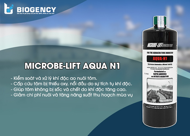 Men vi sinh xử lý khí độc trong ao nuôi tôm Microbe-Lift AQUA N1.