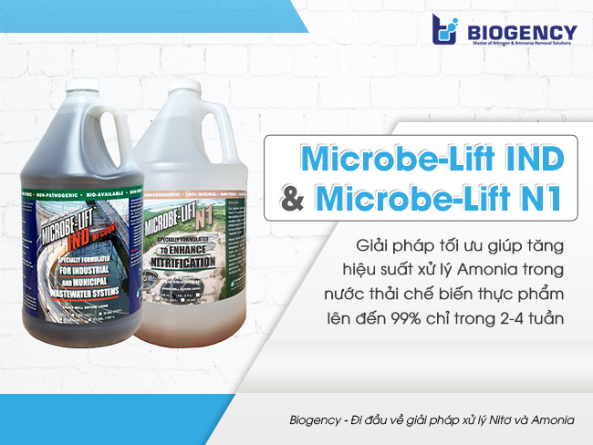 Bộ đôi men vi sinh Microbe-Lift IND và Microbe-Lift N1.
