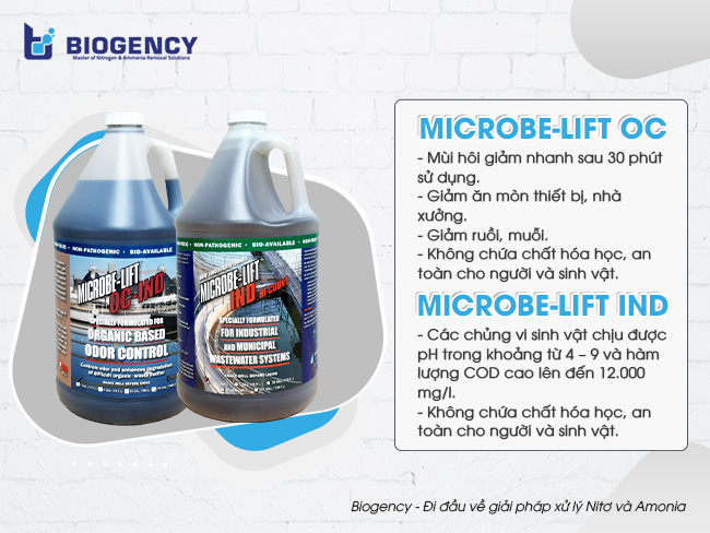 Kết hợp men vi sinh Microbe-Lift OC và IND giúp xử lý mùi hôi hồ thu gom nước thải hiệu quả chỉ sau 7 ngày sử dụng.