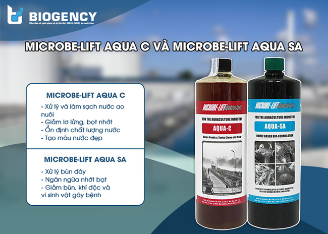 Giữ chất lượng nước ao nuôi tôm ổn định với Microbe-Lift AQUA C và Microbe-Lift AQUA SA.