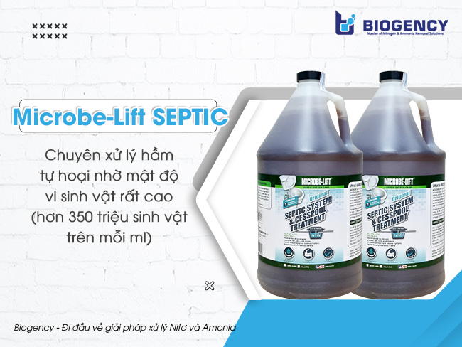 Men vi sinh Microbe-Lift chuyên xử lý hầm tự hoại, do Viện Nghiên Cứu Sinh Thái Hoa Kỳ sản xuất.