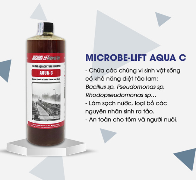 Men vi sinh Microbe-Lift AQUA C hiệu quả và an toàn để cắt tảo trong ao tôm.