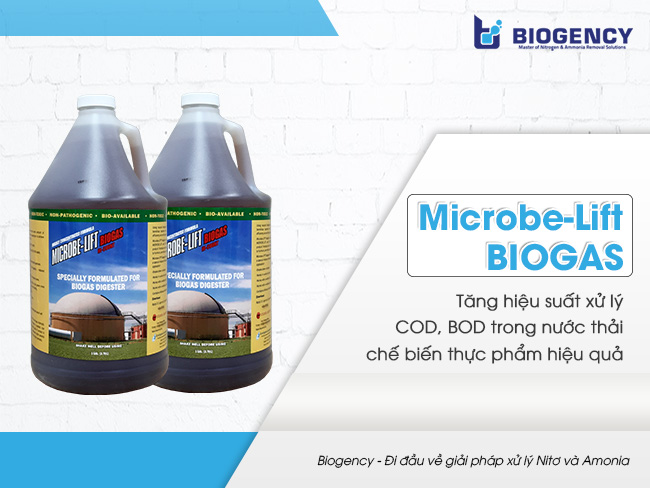 Men vi sinh kỵ khí Microbe-Lift BIOGAS.