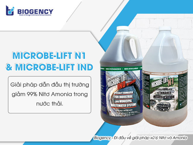 Men vi sinh xử lý nước thải Microbe-Lift N1 và Microbe-Lift IND giúp xử lý hiệu quả chỉ tiêu Nitơ Amonia trong nước thải.