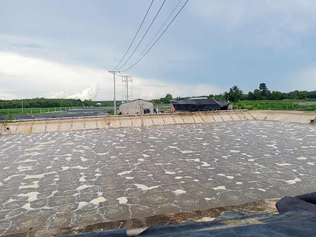 Nước thải chế biến tinh bột sắn.