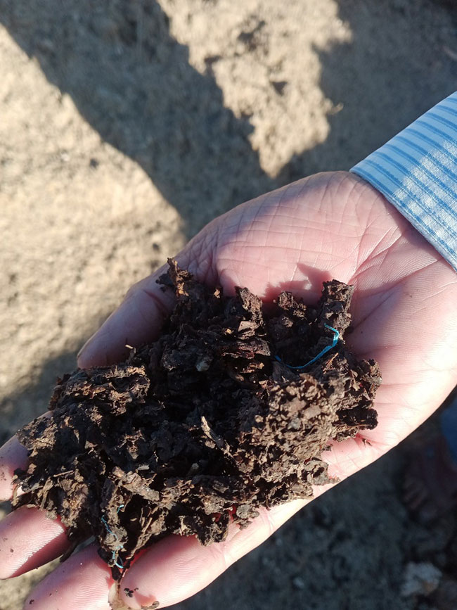 Phân hữu cơ được ủ từ bã sắn.