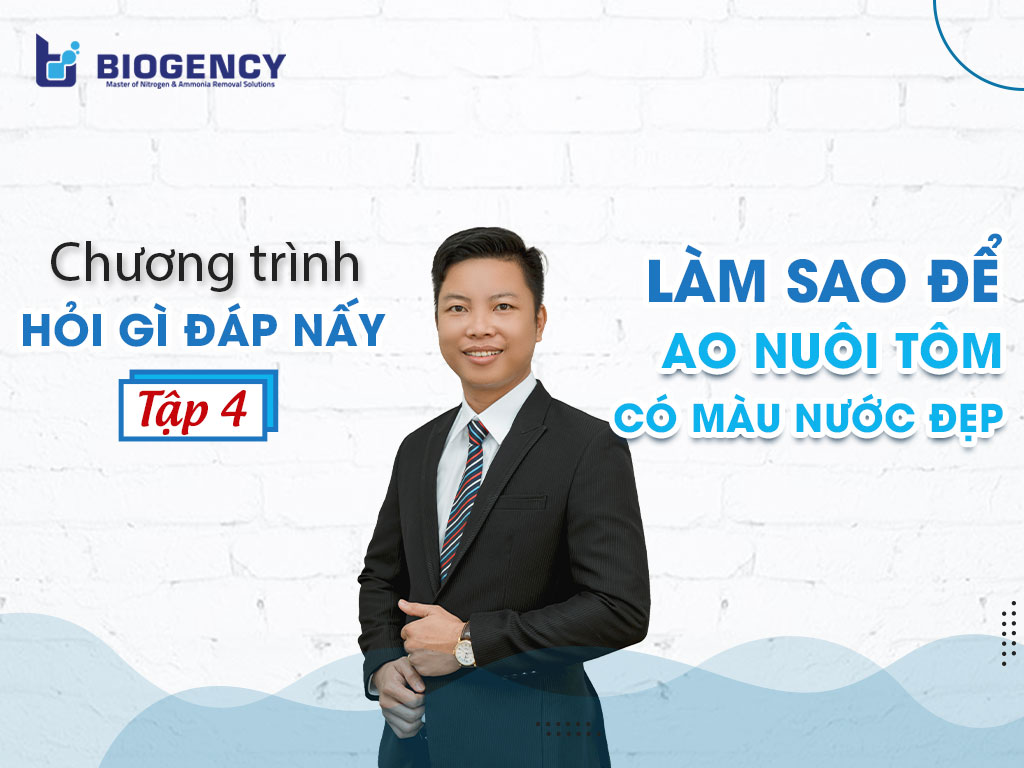 Ao nuôi tôm màu nước đẹp