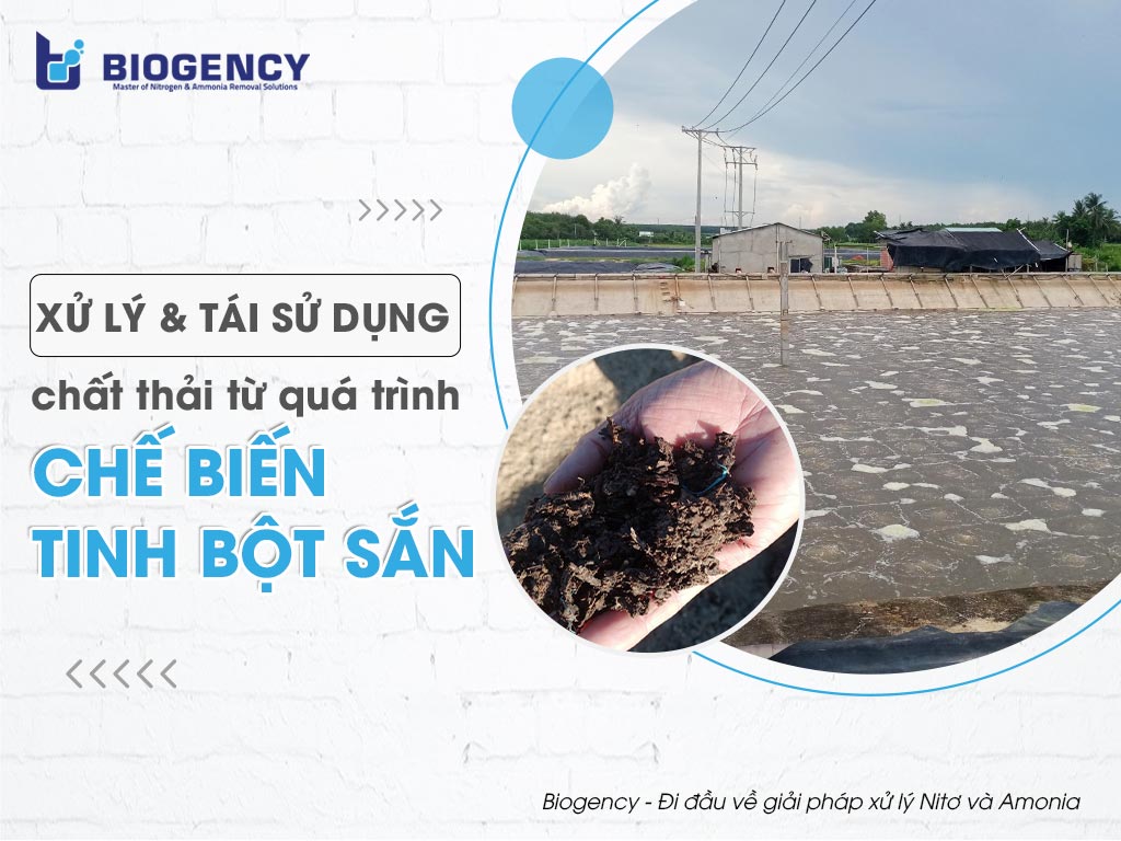 Xử lý & Tái sử dụng chất thải từ quá trình chế biến tinh bột sắn