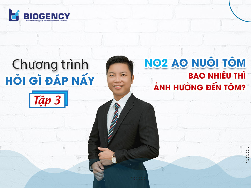 NO2 ao nuôi tôm