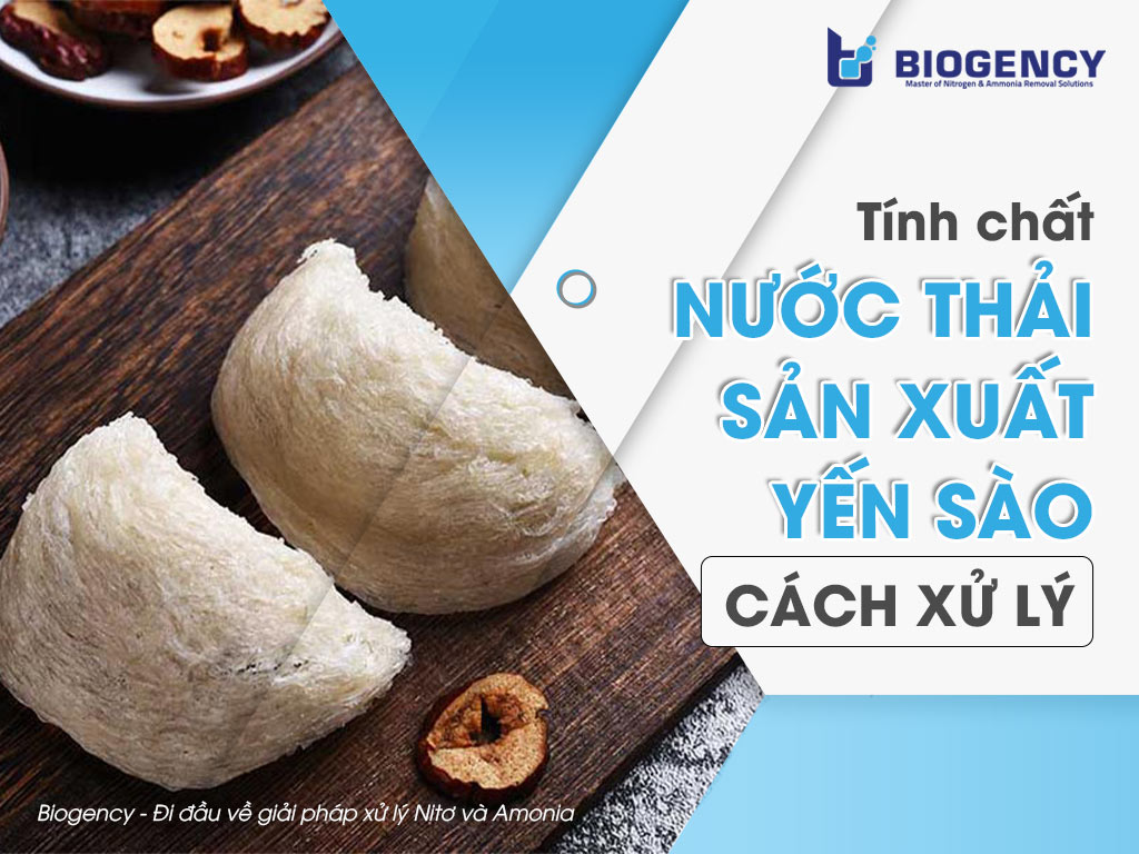 Tính chất nước thải sản xuất yến sào & Cách xử lý