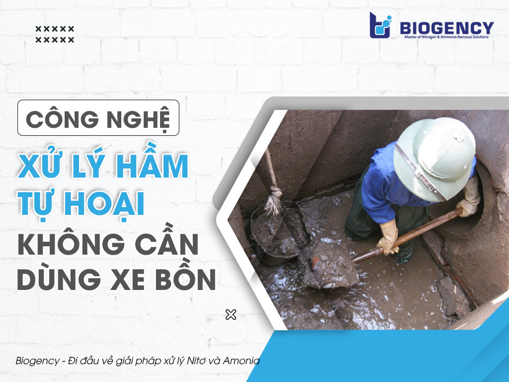 Công nghệ Xử lý hầm tự hoại không cần dùng xe bồn