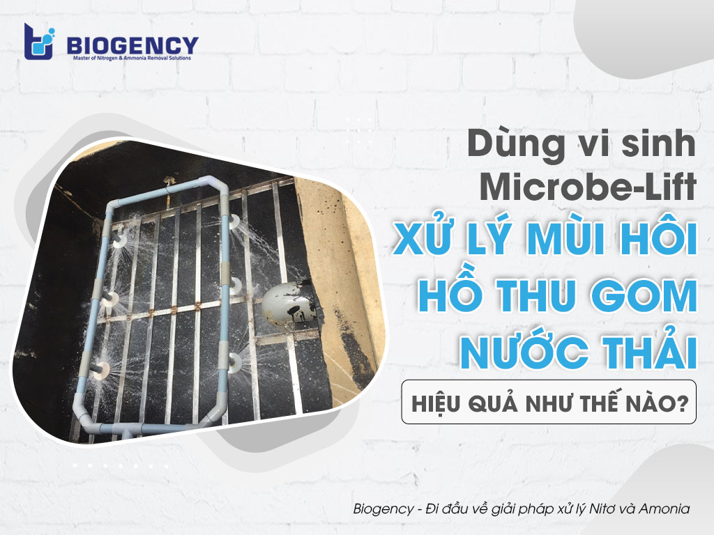 Dùng vi sinh Microbe-Lift xử lý mùi hôi hồ thu gom nước thải hiệu quả như thế nào?