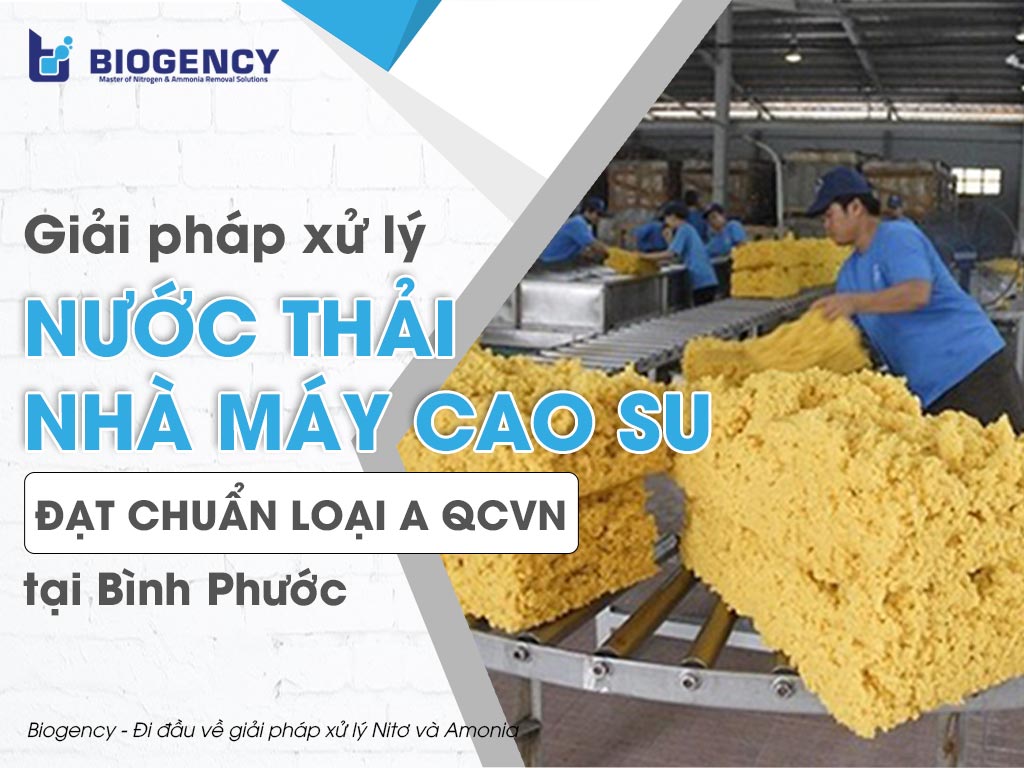 Giải pháp xử lý nước thải nhà máy cao su đạt chuẩn loại A QCVN tại Bình Phước