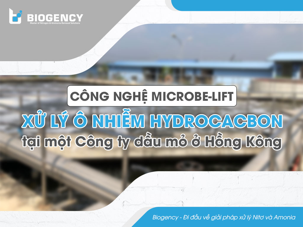 Công nghệ Microbe-Lift xử lý ô nhiễm Hydrocacbon tại một Công ty dầu mỏ ở Hồng Kông