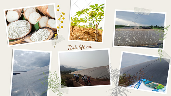 Tăng hiệu suất xử lý hầm Biogas nước thải chế biến tinh bột mì