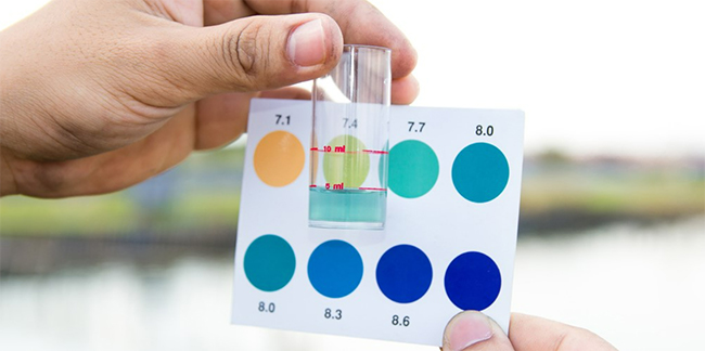 ph trong ao nuôi tôm