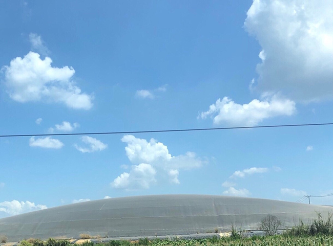 Xử lý nước thải chăn nuôi heo bằng hầm Biogas