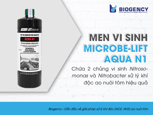 Men vi sinh xử lý khí độc ao nuôi tôm Microbe-Lift AQUA N1 chứa 2 chủng vi sinh Nitrosomonas và Nitrobacter.