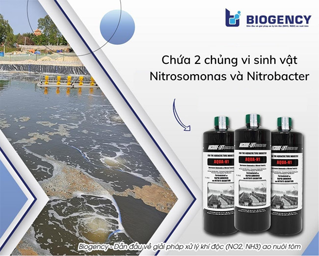 Men vi sinh Microbe-Lift AQUA N1 chuyên trị khí độc NO2