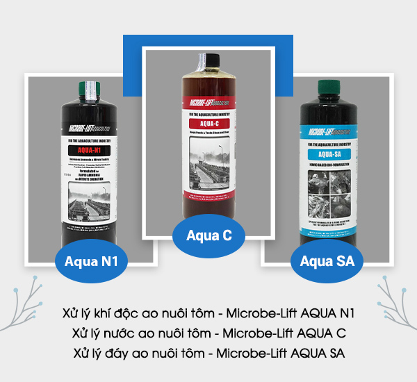 Sử dụng bộ 3 men vi sinh Microbe-Lift giữ ổn định nước ao và ngăn ngừa khí độc từ đầu vụ, giúp hạn chế tình trạng tôm chết lai rai trong quá trình nuôi.