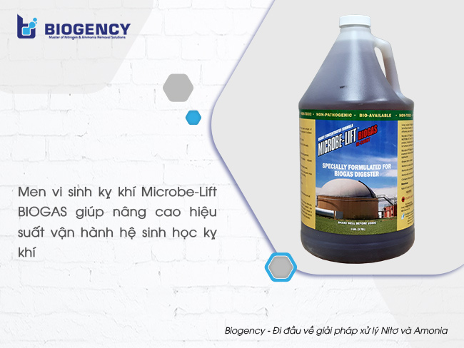 Men vi sinh kỵ khí Microbe-Lift BIOGAS giúp nâng cao hiệu suất vận hành hệ sinh học kỵ khí.