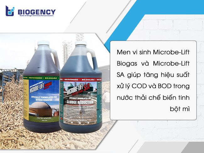 Men vi sinh Microbe-Lift Biogas và Microbe-Lift SA giúp tăng hiệu suất xử lý COD và BOD trong nước thải chế biến tinh bột mì