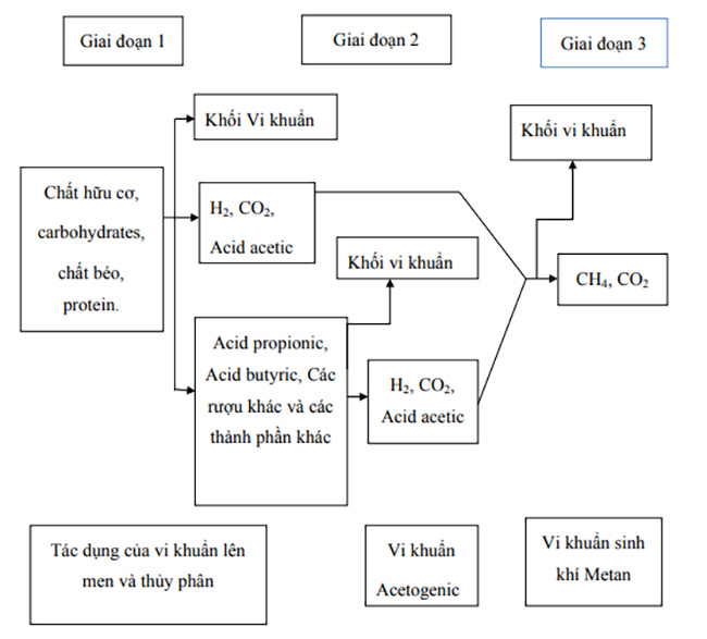 Tăng hiệu suất xử lý hầm Biogas nước thải chế biến tinh bột mì