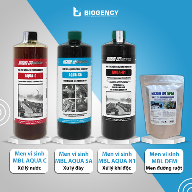 4 dòng sản phẩm men vi sinh Microbe-Lift cho ao tôm đang được BIOGENCY cung cấp.