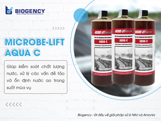 Men vi sinh Microbe-Lift AQUA C giúp kiểm soát chất lượng nước, xử lý các vấn đề tảo và ổn định nước ao trong suốt mùa vụ.