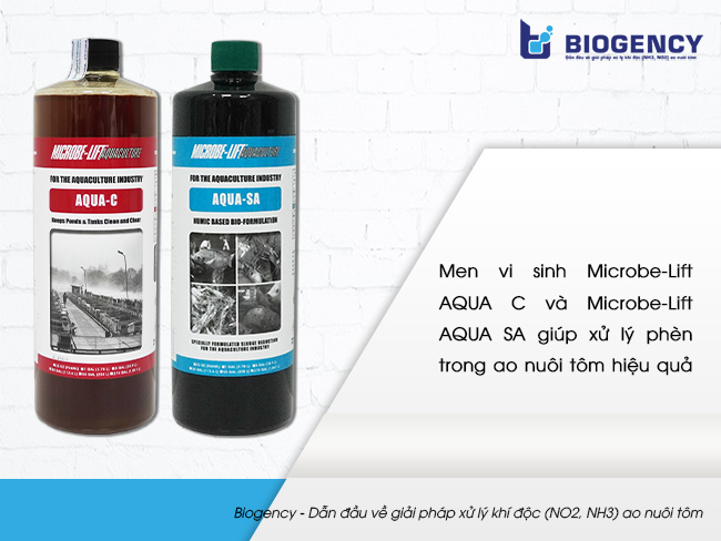 Men vi sinh Microbe-Lift AQUA C và Microbe-Lift AQUA SA giúp xử lý phèn trong ao nuôi tôm hiệu quả