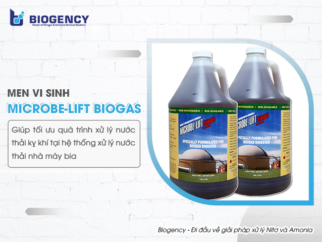 Quy trình công nghệ xử lý nước thải nhà máy bia