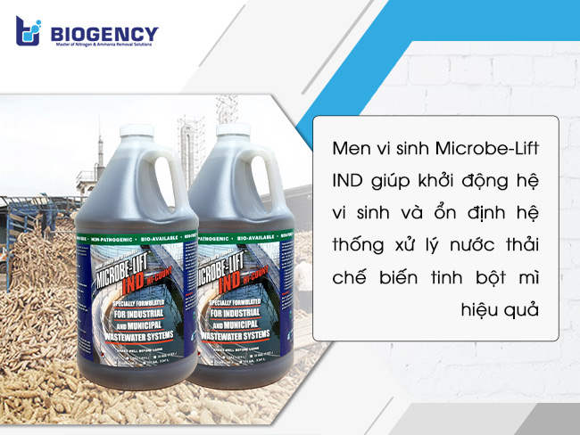 Men vi sinh Microbe-Lift IND giúp khởi động hệ vi sinh và ổn định hệ thống xử lý nước thải chế biến tinh bột mì hiệu quả