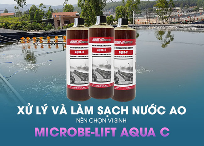 Men vi sinh xử lý và làm sạch nước ao với men vi sinh Microbe-Lift AQUA C.