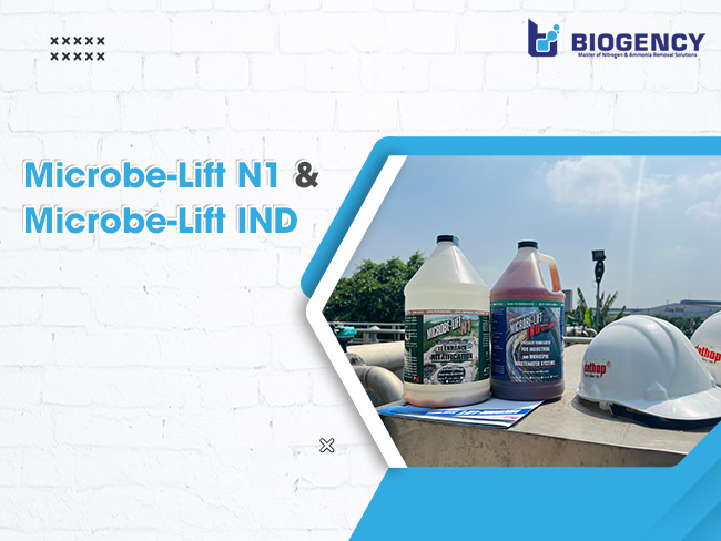 Bộ đôi men vi sinh lỏng Microbe-Lift N1 và Microbe-Lift IND giúp làm giảm chỉ tiêu Nitơ Amonia trong nước thải nhà hàng.