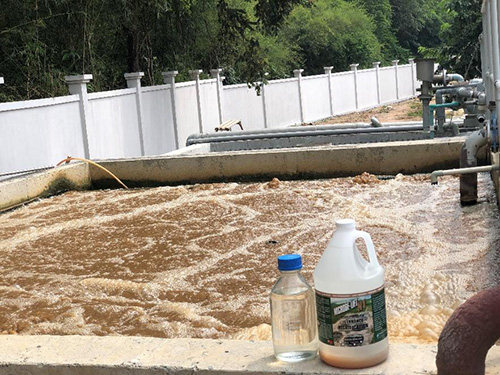 Xử lý nước thải thực phẩm