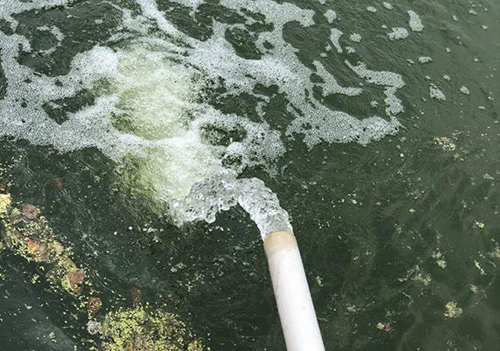 Xử lý nước thải thực phẩm